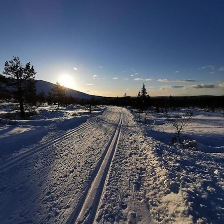 Yllaes Kanerva 105 Äkäslompolo 外观 照片