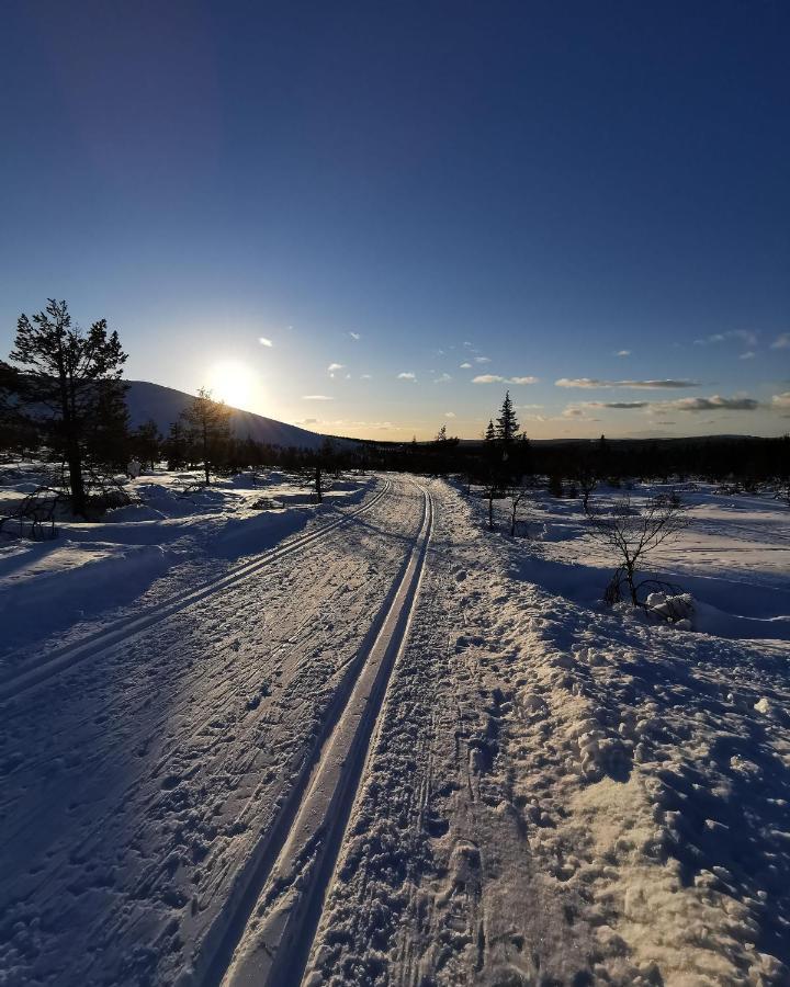 Yllaes Kanerva 105 Äkäslompolo 外观 照片