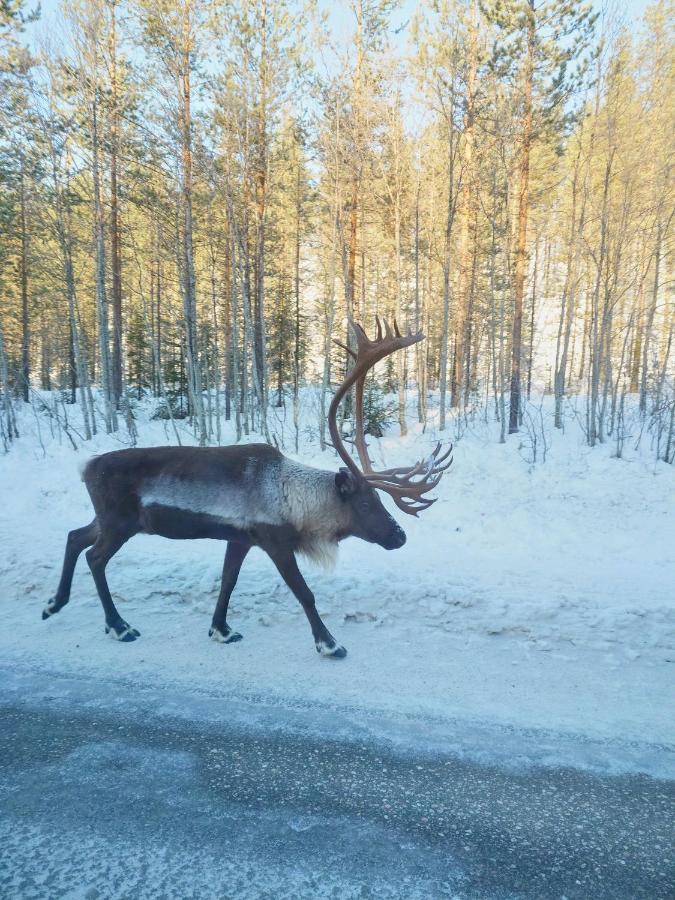 Yllaes Kanerva 105 Äkäslompolo 外观 照片
